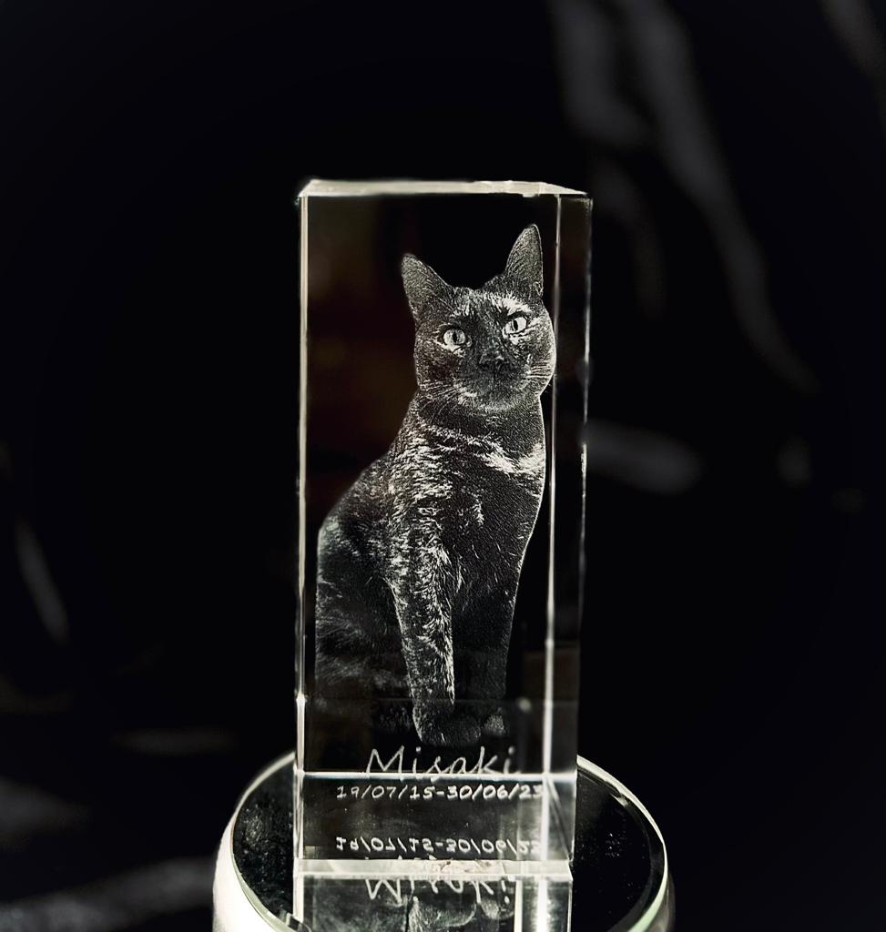 Сапфировый прямоугольник