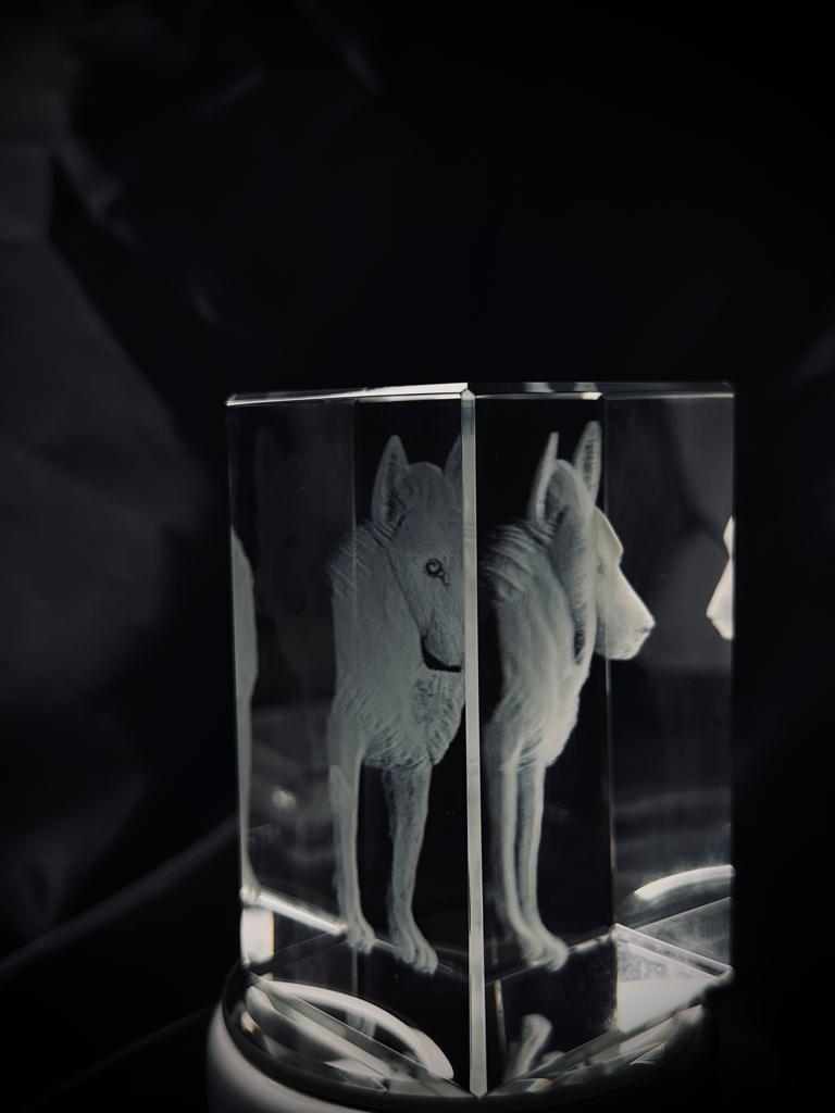 Rectangulo Mascota en cristal 3D