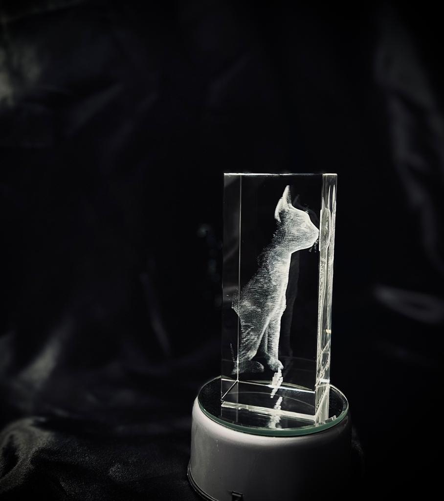 Сапфировый прямоугольник