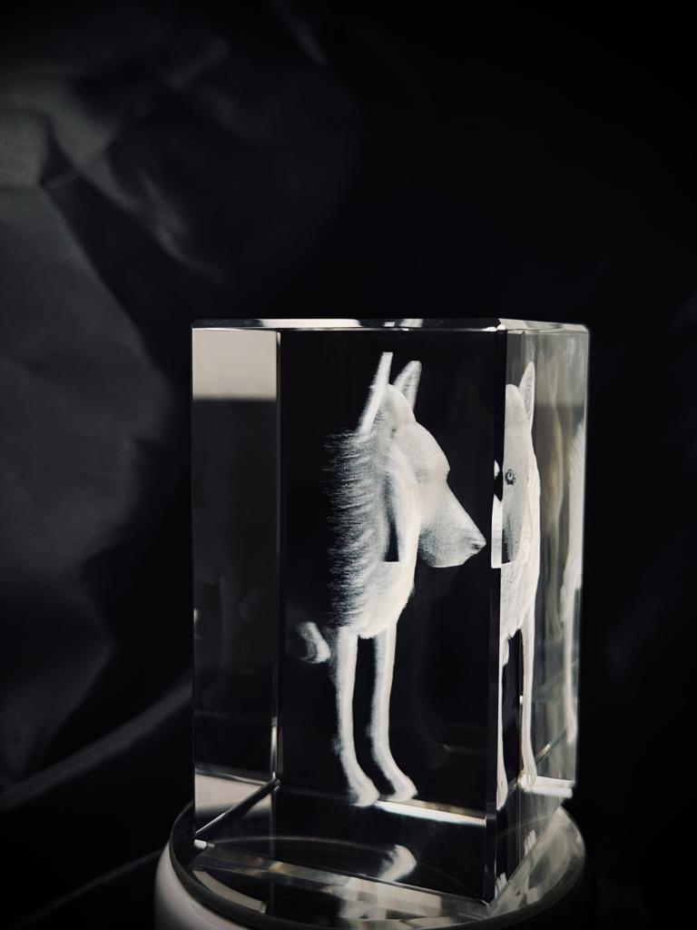 Rectangulo Mascota en cristal 3D