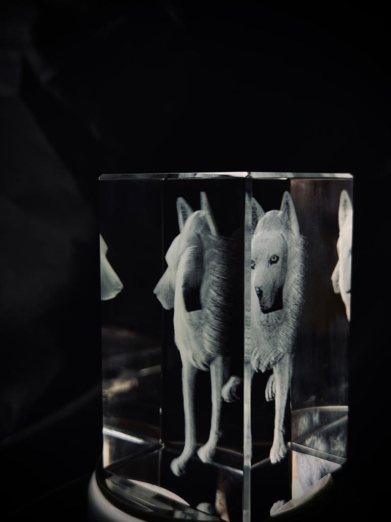 Rectangulo Mascota en cristal 3D