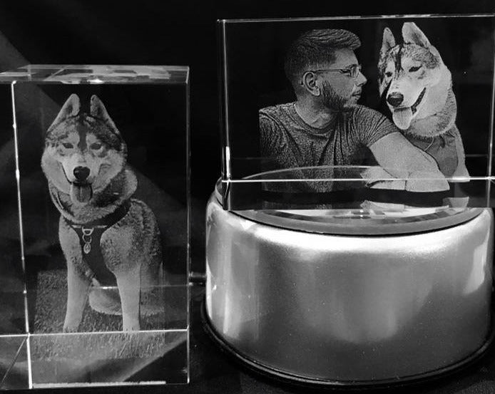 Fotos originals de mascotas . Regalo original para mujer. 