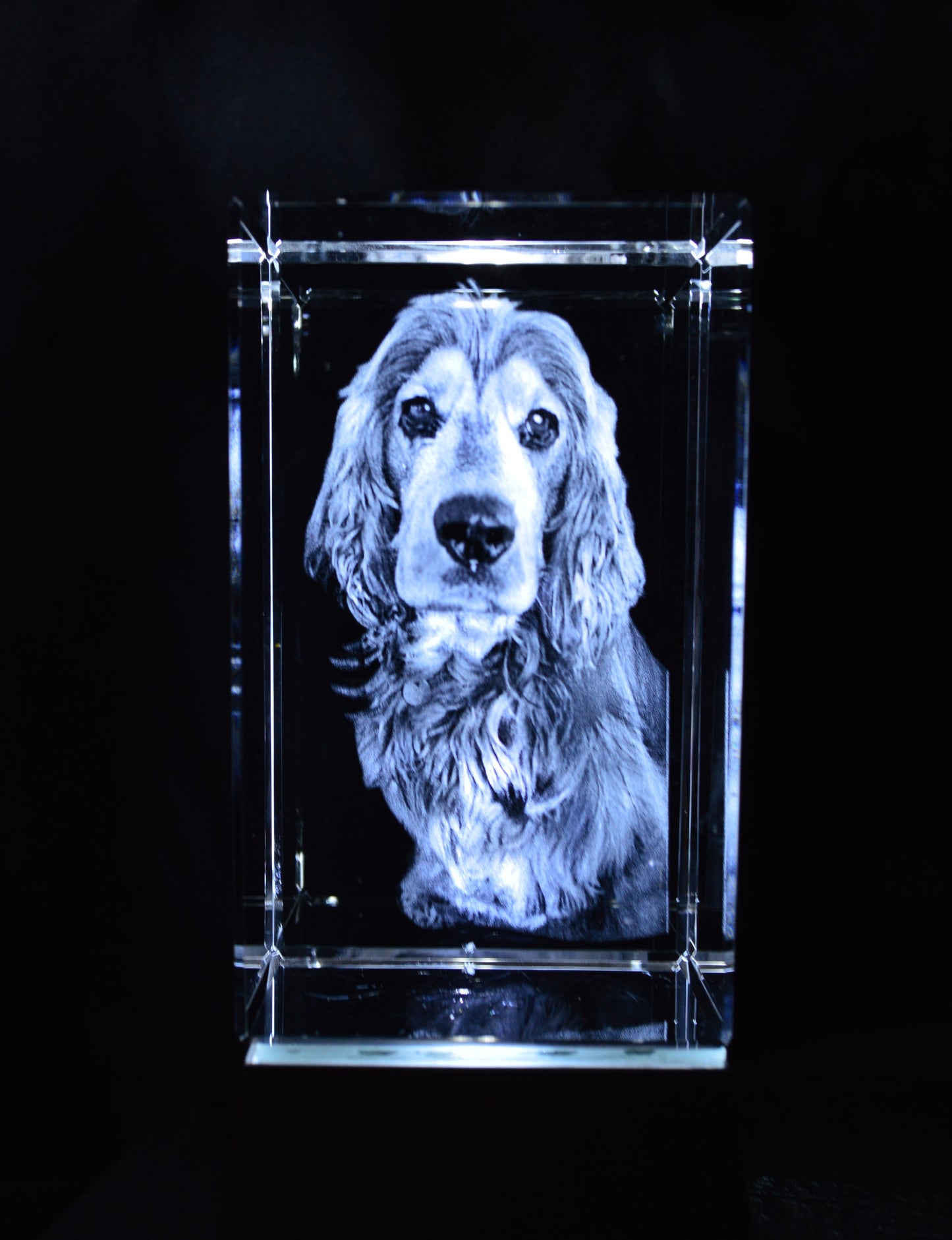 foto de mi perro en 3d